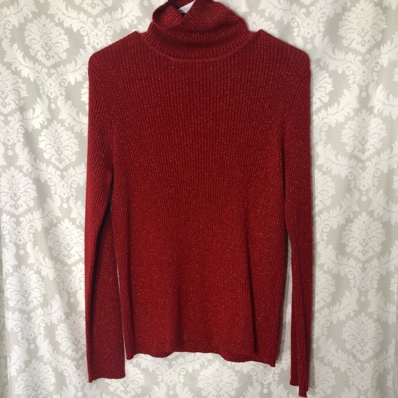 Bice Sweaters - Bice Turtle Neck Sweater